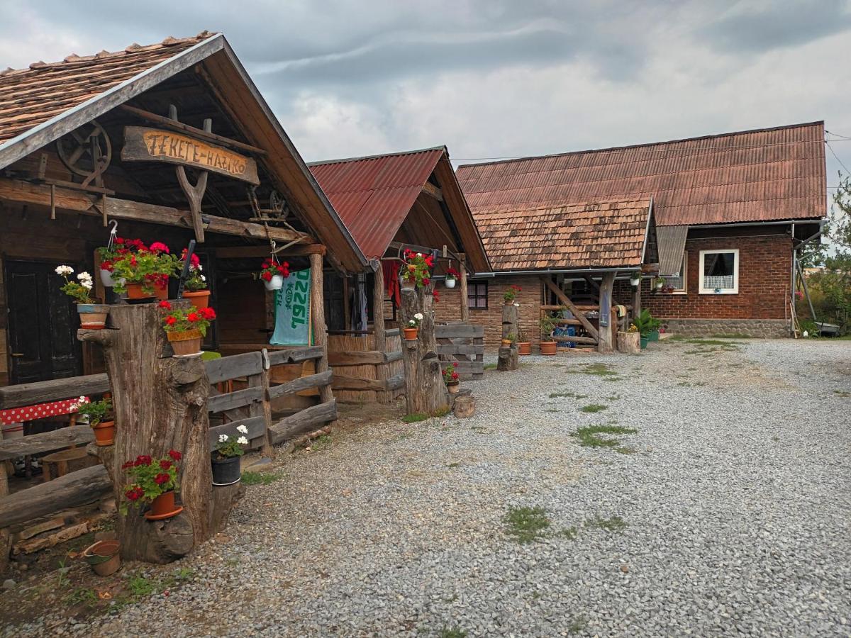 Casa Rustic Feher & Fekete Vendeghazak โซวาตา ภายนอก รูปภาพ